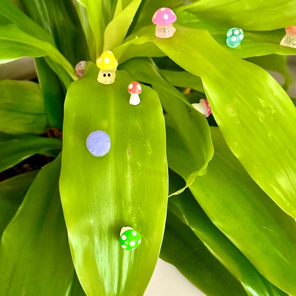 🍃10 pack PLANT MAGNETS!🍃 - Picture 8 of 16